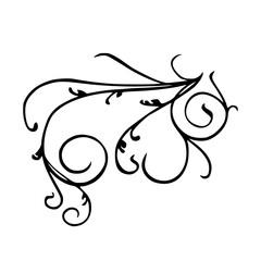 Abstract floral ornaments. Flower overlay. Shape and shapes. Graphic resource and backdrop. PNG