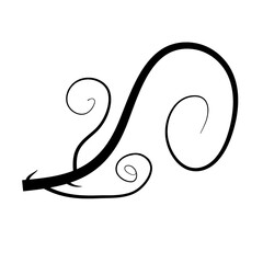 Abstract floral ornaments. Flower overlay. Shape and shapes. Graphic resource and backdrop. PNG