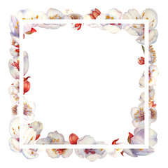Watercolor square frames of blooming apricot branches and flowers
