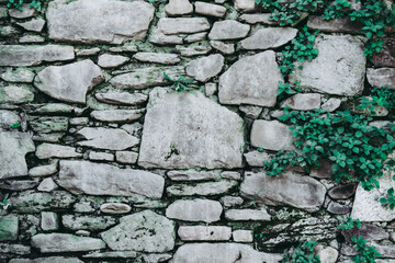Old stone wall consisting of white stacked stones surrounded by vines, background, pattern, texture, wallpaper.