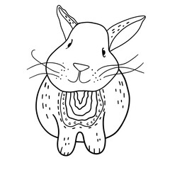 Coloring book with animal rabbit vector Illustration 