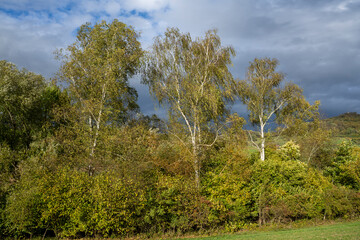 Trilogie Herbstlandschaft