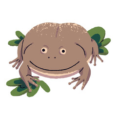 Budgett's frog sit in leaves. Funny toad with smile on cute muzzle. Exotic amphibian, tropical animal, wild rainforest froggy, swamp inhabitant. Flat isolated vector illustration on white background