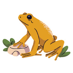 Golden poison dart, arrow frog sit on stone, grass. Small venomous froggy, dangerous rainforest toad. Amphibian with toxic skin. Wild fauna. Flat isolated vector illustration on white background