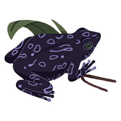 Big black toad sits on grass. Exotic frog with patterned skin. Tropical froggy, amphibian animal, swamp inhabitant, wild bog habitant. Terrarium fauna. Flat isolated vector illustration on white