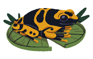 Dendrobates leucomelas. Poison dart frog sits on water lily leaves. Forest venomous froggy, yellow spotted toad. Amphibian animal, dangerous tropical fauna. Flat isolated vector illustration on white