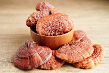 Lingzhi or Reishi mushroom with capsules, organic natural healthy food. - obrazy, fototapety, plakaty