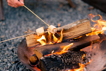 Close-up shot of several people roasting marshmallows on fire on a wood fire in nature during sunset