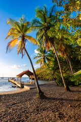 “Anse Noire“ is a secluded tropical beach with rain forest and tall palm trees in Les...