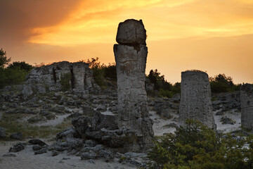 Pobiti Kamani - Stone forest near Varna. Bulgaria - 668663569