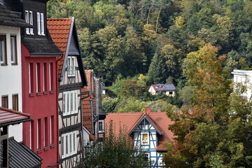 Obraz premium Fachwerkhäuser in Frankenberg vor dem Herbstwald
