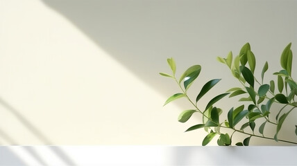 Minimalistic light background with blurred foliage shadow and plant on a light wall.