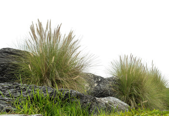 Big rocks with grass on a transparent background.