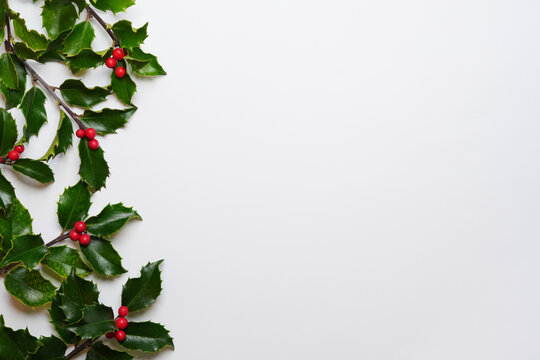 Flat lay made of common holly leaves and fresh fruit berries on white background. Holly branches.Christmas, winter, new year concept. Flat lay, top view, copy space.