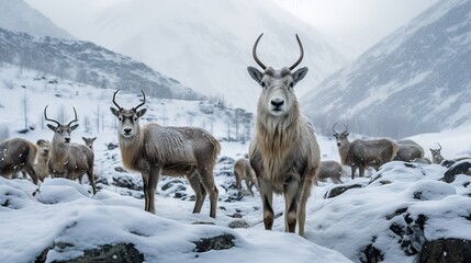 Animals with horns living in the snowy forest, in the midst of winter nature, Generative AI