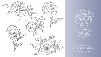 Peony Flower Line Art. Floral Frames and Bouquets Line Art. Fine Line Peony Frames Hand Drawn Illustration. Hand Draw Outline Leaves and Flowers. Botanical Coloring Page. Outline peony Isolated © Xenia