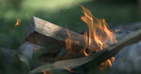 Piece of wood falling into fire camp, feeding small bonfire creating spark and flames, captured