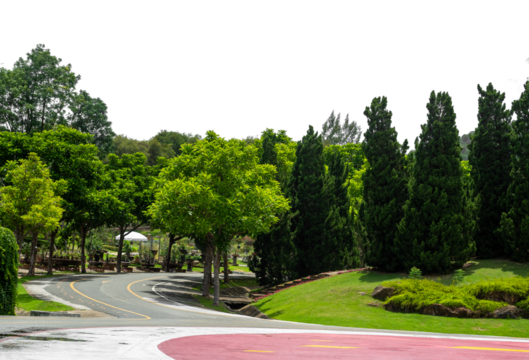 Outdoor park and shady trees providing shade on a transparent background.