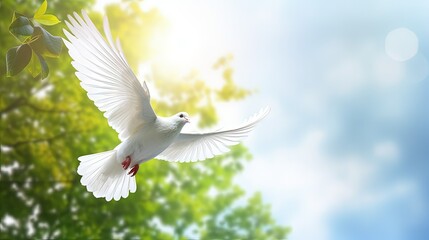 Obraz premium A free white dove holding green leaf branch flying in the sky. International Day of Peace concept background