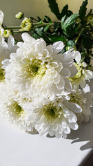Bouquet of white chrysanthemums. There are drops of water and jewelry on the petals. Can be used for cards