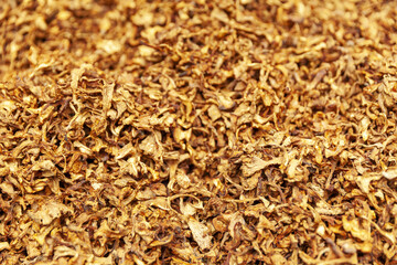 dried chanterelle mushrooms