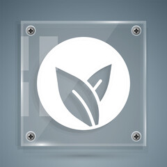 White Tea leaf icon isolated on grey background. Tea leaves. Square glass panels. Vector