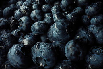Extreme macro blueberries background. Fresh ripe summer organic berries harvest.