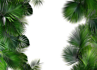 Fototapeta na wymiar Palm branches in the corners, tropical plants decoration elements