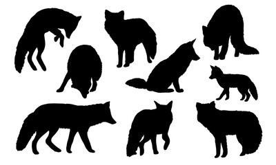 Set of silhouettes red foxes Vulpes vulpes. Common foxes and their cubs walk, sit, stand and hunt. Realistic vector carnivorous animal