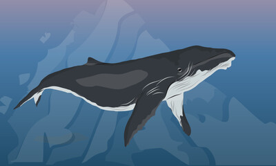 A large humpback whale swims in dark cold water. Realistic vector landscape