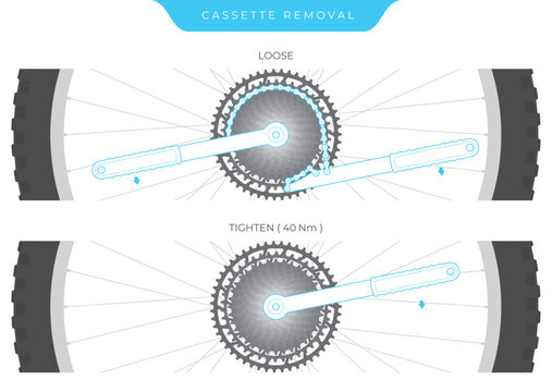 Vector image of instructions for removal & installation bicycle cassette. Isolated on white background