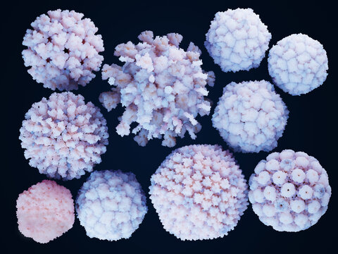 Ten human-infecting viruses