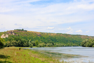 The horse is grazing by the river. Background with selective focus
