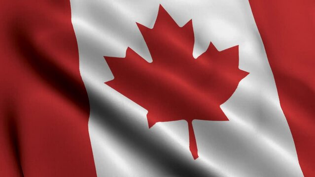 Canada Flag. Waving  Fabric Satin Texture of the Flag Canada 3D illustration. Real Texture Flag of the Canada 4K Video