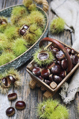 Close up of sweet chestnuts in the basket - 668701987