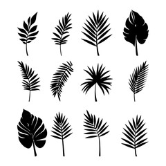 Fototapeta premium Set of black silhouettes of tropical palm leaves, trees.