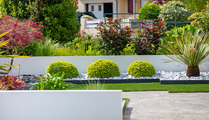 Plante et arbuste dans un jardin moderne au pied d'une maison réalisé par un paysagiste. - obrazy, fototapety, plakaty