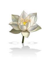 white lotus laithai