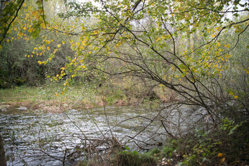 Lozoya riverin Rascafria  after heavy rainfall.
