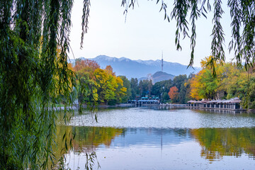 Urban landscape in autumn. Almaty Park of Culture and Recreation. Trees on the shore of a pond with yellow leaves. Beautiful landscape.