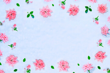 Bright colorful flower rose. floral background