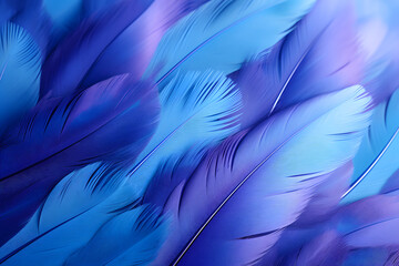 Farbenfrohe Federn: Die Sch&ouml;nheit der gefiederten Vielfalt