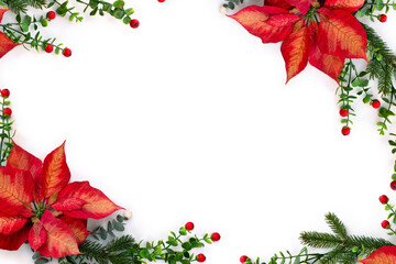 Christmas decoration. Flowers of red orange poinsettia, branch christmas tree, berries mistletoe, red berries on a white background with space for text. Top view, flat lay