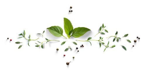 Collection of fresh herb leaves. thyme and basil Spices, herbs on a white table. PNG Food background design element with transparent shadow on transparent background. - 668731313