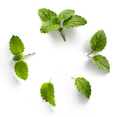 healthy and herbal medicine. fresh mint leaves with real transparent shadow isolated on transparent background © Konstiantyn