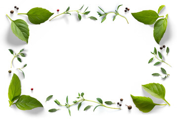 cooking composition frame border. Fresh green organic basil leaves, thyme and peper isolated on white background. Transparent background and natural transparent shadow; Ingredient, spice for cooking.  - obrazy, fototapety, plakaty