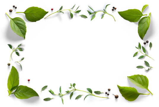 cooking composition frame border. Fresh green organic basil leaves, thyme and peper isolated on white background. Transparent background and natural transparent shadow; Ingredient, spice for cooking. 