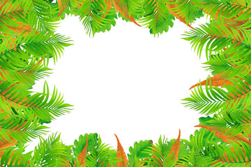 christmas wreath isolated on white, Png Background