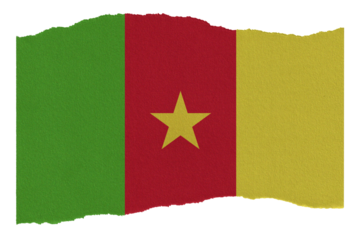Cameroon flag isolated on torn paper