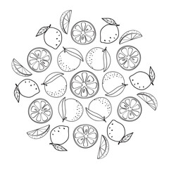 Fruits decorative frame in vector, fruits ornament